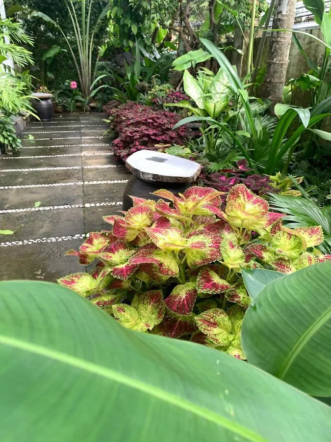 Апартаменты Hoi An Sunny Garden 0*,