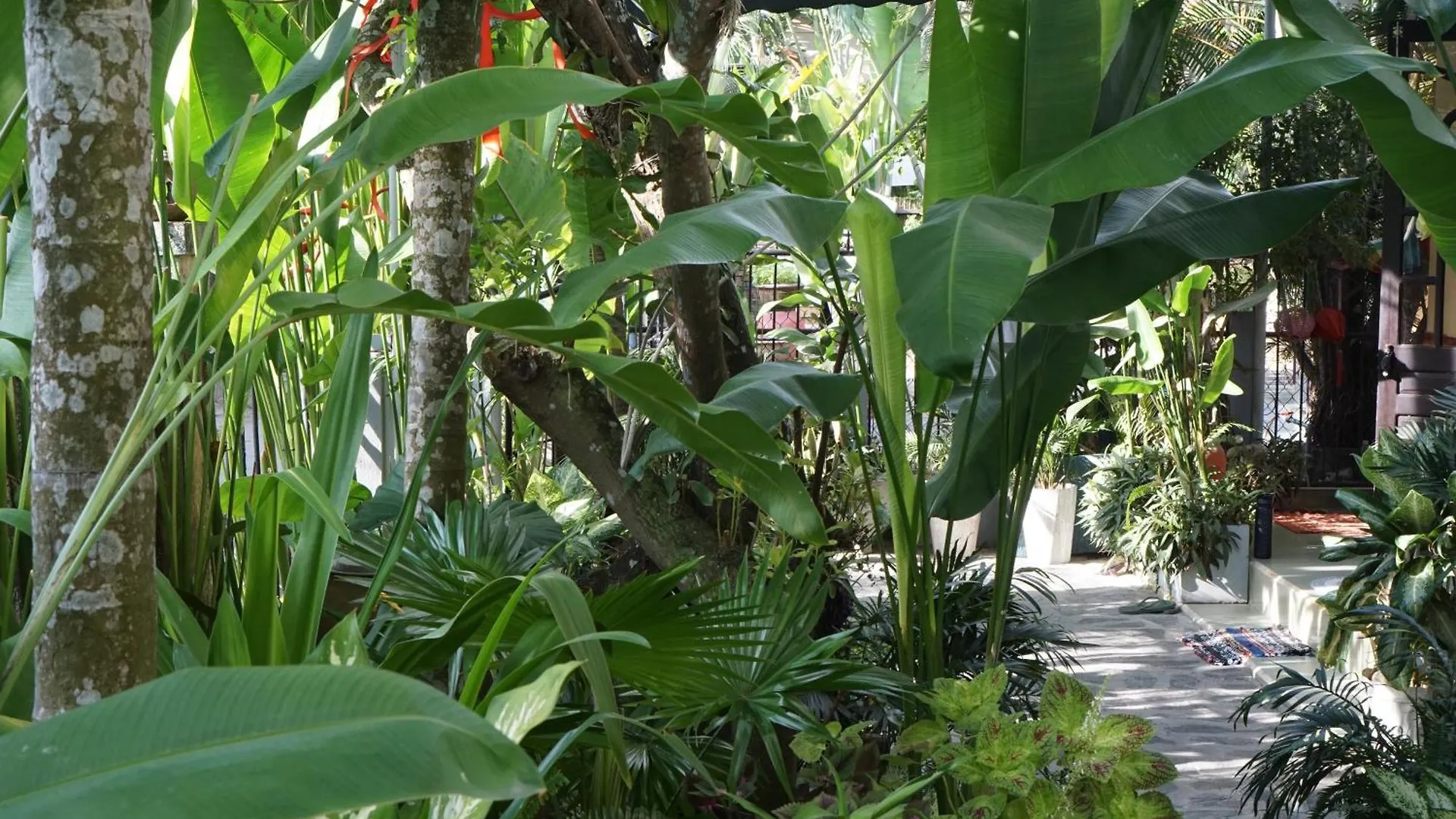 Проживание в семье Апартаменты Hoi An Sunny Garden Вьетнам