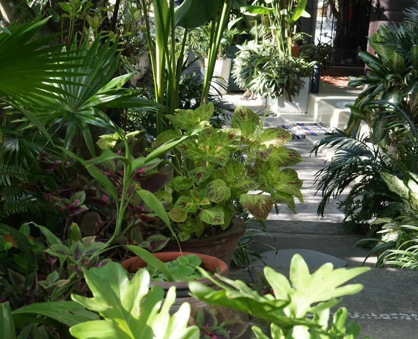 Hoi An Sunny Garden Apartment Homestay