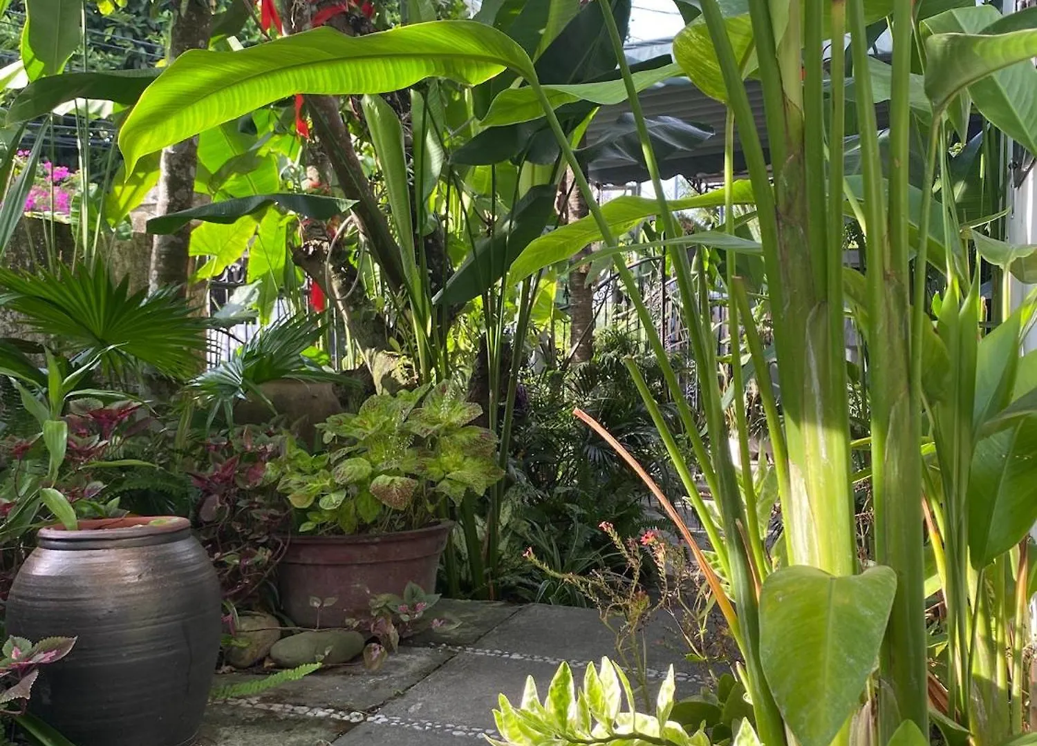 Séjour chez l'habitant Appartement Hoi An Sunny Garden